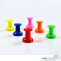 Magnetische Prikbord Pins Jumbo (6st) gemengd